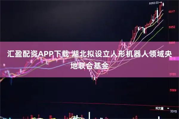 汇盈配资APP下载 湖北拟设立人形机器人领域央地联合基金