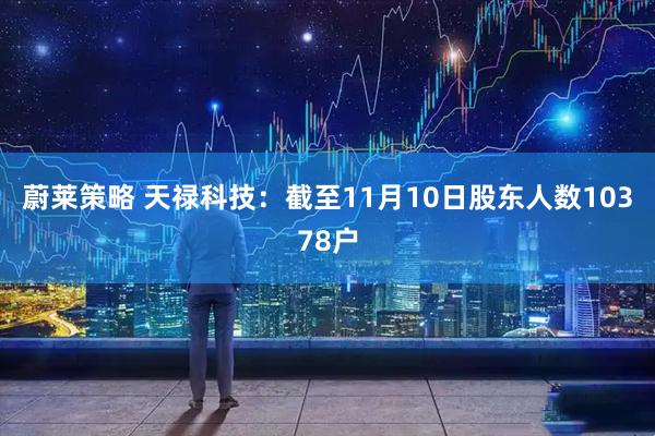 蔚莱策略 天禄科技：截至11月10日股东人数10378户