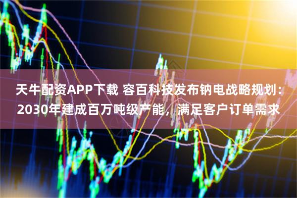 天牛配资APP下载 容百科技发布钠电战略规划：2030年建成百万吨级产能，满足客户订单需求