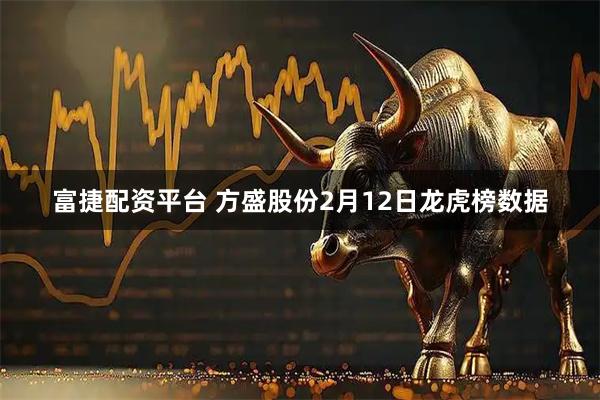 富捷配资平台 方盛股份2月12日龙虎榜数据
